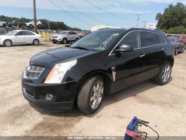 2010 CADILLAC SRX PREMIUM COLLECTION VIN: 3GYFNFEY5AS591184