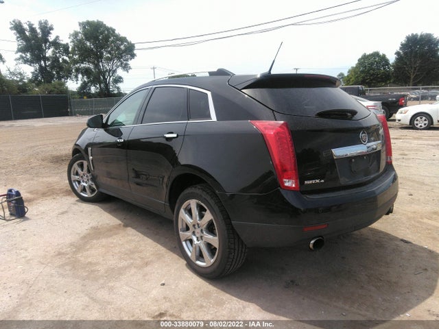 2010 CADILLAC SRX PREMIUM COLLECTION VIN: 3GYFNFEY5AS591184