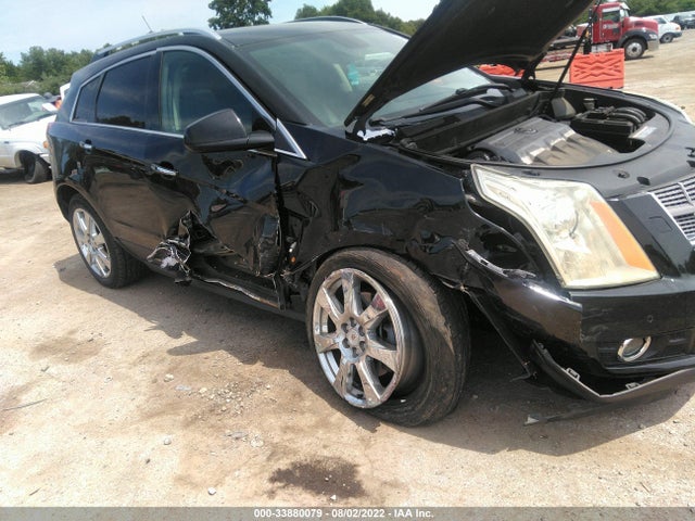 2010 CADILLAC SRX PREMIUM COLLECTION VIN: 3GYFNFEY5AS591184