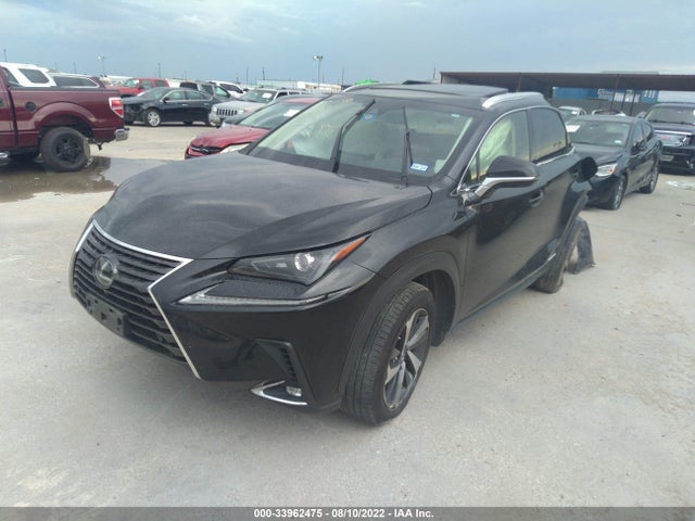 2019 Lexus NX, VIN: JTJBJRBZXK2103548