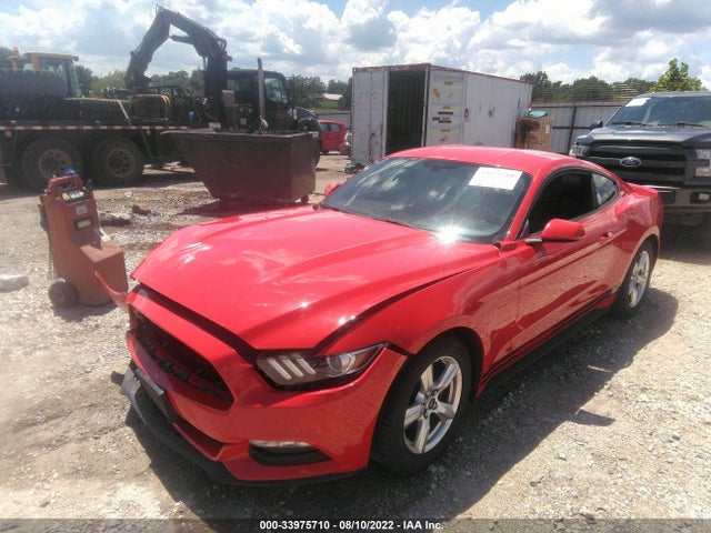 2015 Ford Fastback, VIN: 1FA6P8AM8F5332579