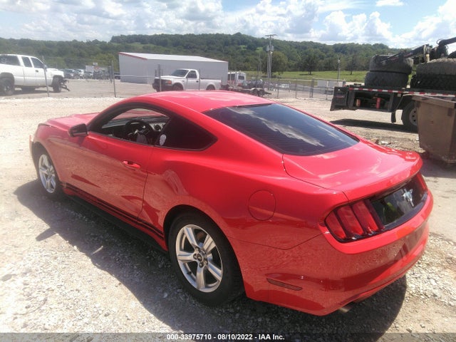 2015 Ford Fastback, VIN: 1FA6P8AM8F5332579