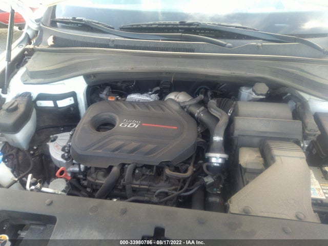 2019 HYUNDAI SANTA FE ULTIMATE VIN: 5NMS53AAXKH015675