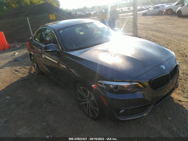 2019 BMW 2 Series, VIN: WBA2J3C5XKVD49378