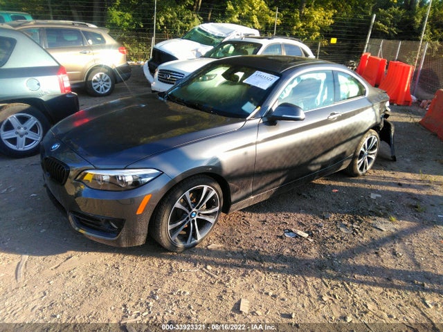 2019 BMW 2 Series, VIN: WBA2J3C5XKVD49378