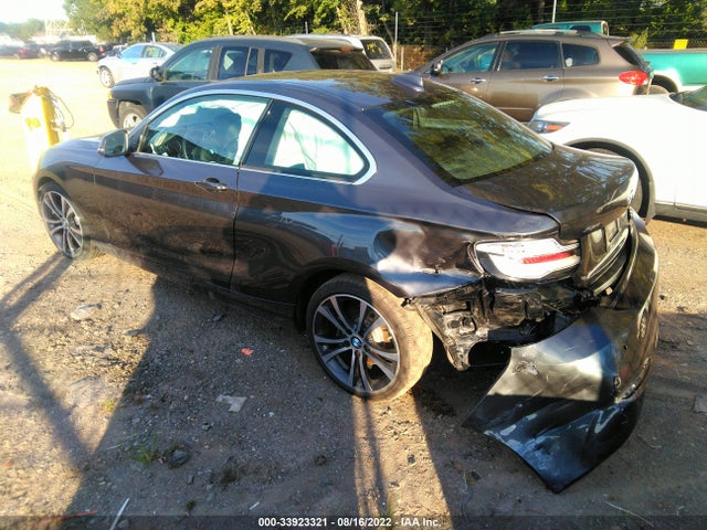 2019 BMW 2 Series, VIN: WBA2J3C5XKVD49378