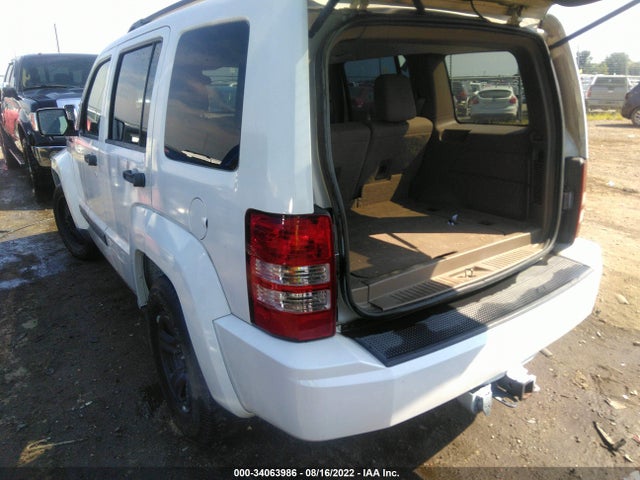 2010 JEEP LIBERTY SPORT VIN: 1J4PP2GKXAW102279