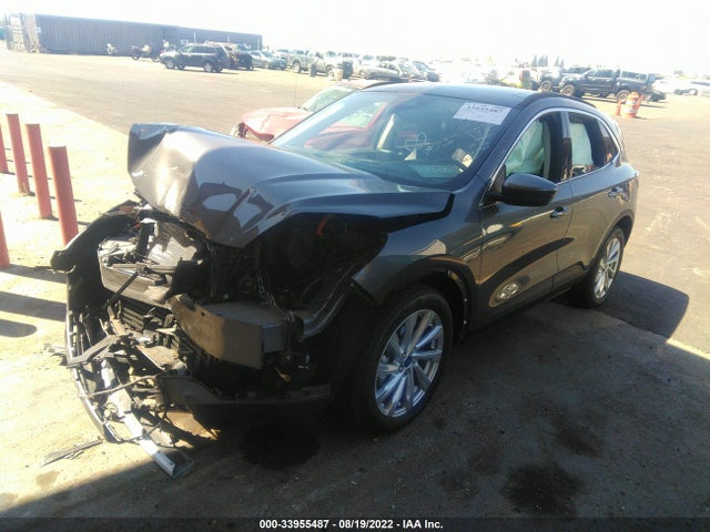 2021 Ford Escape, VIN: 1FMCU0DZXMUA05808