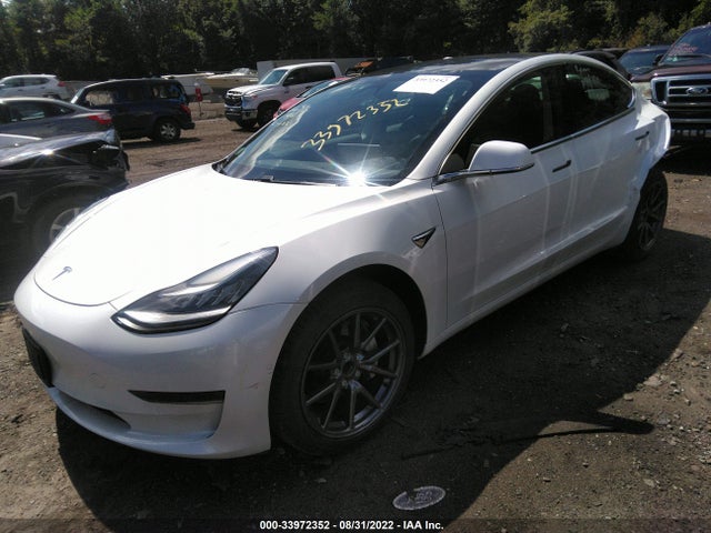 Tesla Model 3 Standard Range 2020 5YJ3E1EA7LF792725 Image 2