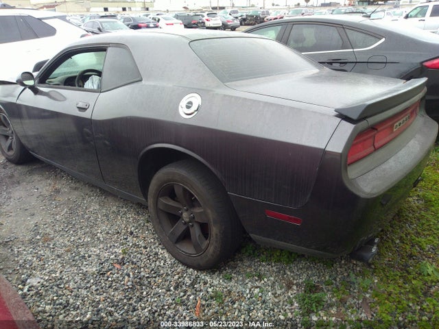 Dodge Challenger Sxt 2014 2C3CDYAG1EH313125 Image 3