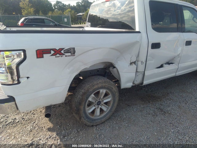 2019 FORD F-150 XLT VIN: 1FTEW1E59KKC71841