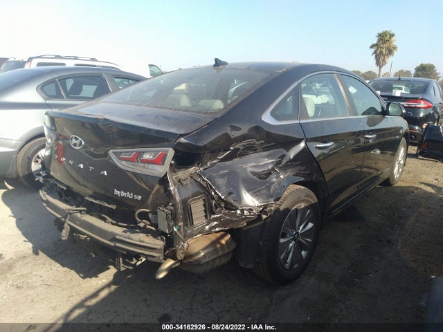 2019 Hyundai Sonata, VIN: KMHE24L33KA088743