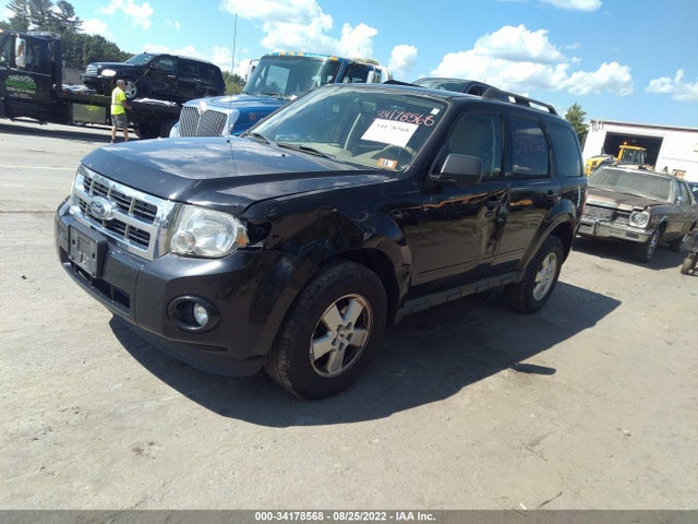 2011 FORD ESCAPE XLT VIN: 1FMCU9DG2BKA90378