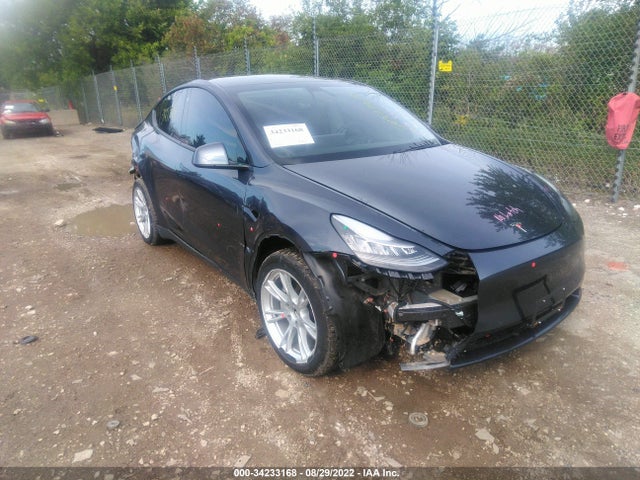 Tesla Model Y Long Range 2021 5YJYGDEE1MF063366 главное изображение
