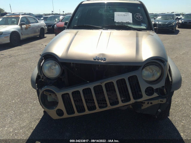 2007 JEEP LIBERTY VIN: 1J8GL48K47W628307