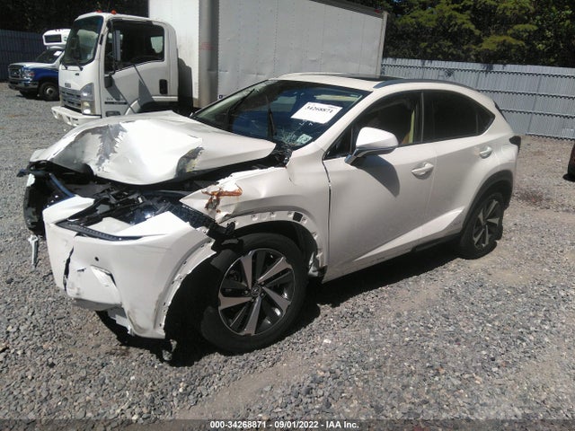 2020 Lexus NX, VIN: JTJGJRDZ7L5008271