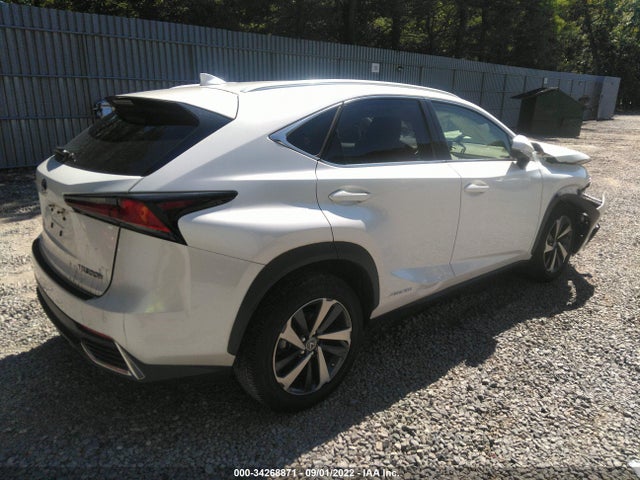 2020 Lexus NX, VIN: JTJGJRDZ7L5008271