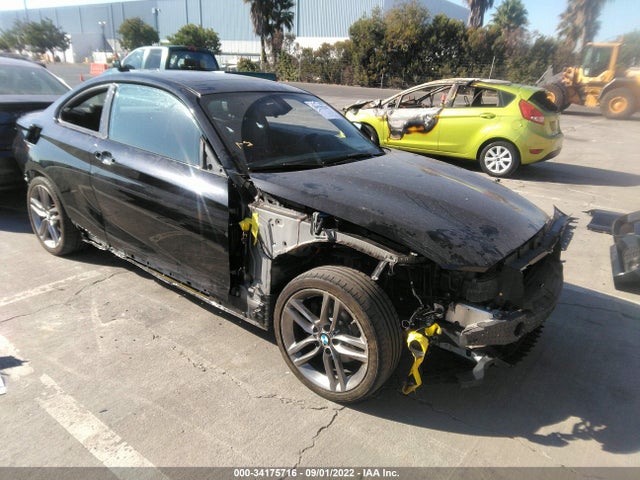 2018 BMW 2 Series, VIN: WBA2J1C56JVD09186