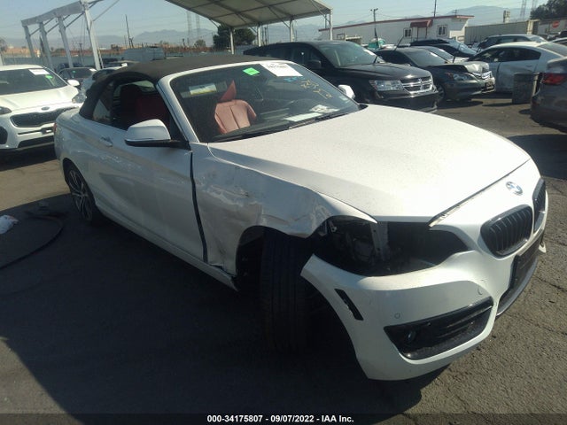 2019 BMW 2 Series, VIN: WBA2M7C59KVD52187