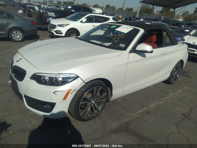 2019 BMW 2 Series, VIN: WBA2M7C59KVD52187