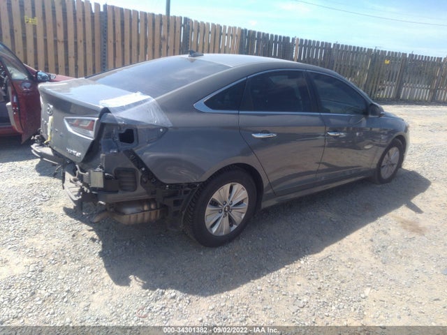 2019 Hyundai Sonata, VIN: KMHE24L39KA093512