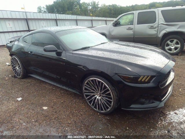 2015 Ford Fastback, VIN: 1FA6P8AM9F5358169