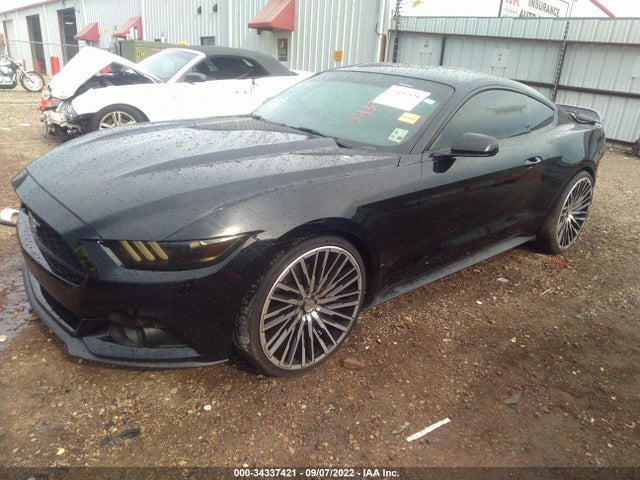2015 Ford Fastback, VIN: 1FA6P8AM9F5358169