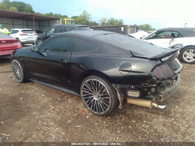 2015 Ford Fastback, VIN: 1FA6P8AM9F5358169
