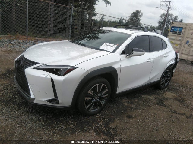 2020 Lexus UX, VIN: JTHL9JBH9L2036210