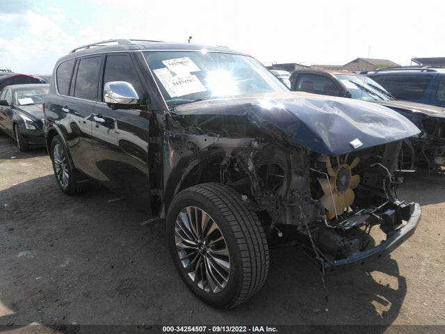 2019 Infiniti QX80, VIN: JN8AZ2NE1K9237013