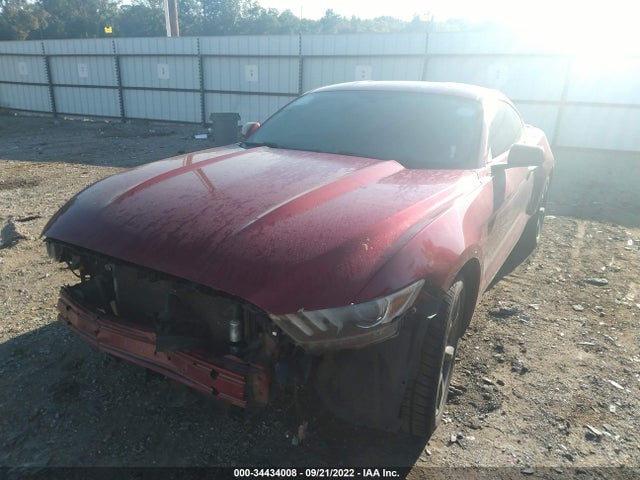 2015 Ford Fastback, VIN: 1FA6P8AM4F5430900