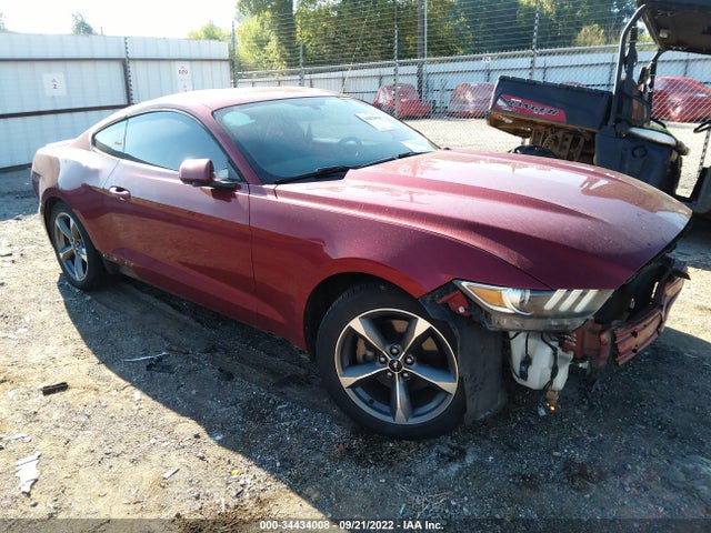 2015 Ford Fastback, VIN: 1FA6P8AM4F5430900