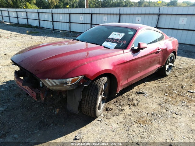 2015 Ford Fastback, VIN: 1FA6P8AM4F5430900