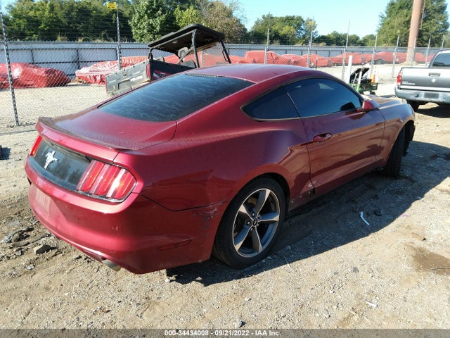 2015 Ford Fastback, VIN: 1FA6P8AM4F5430900
