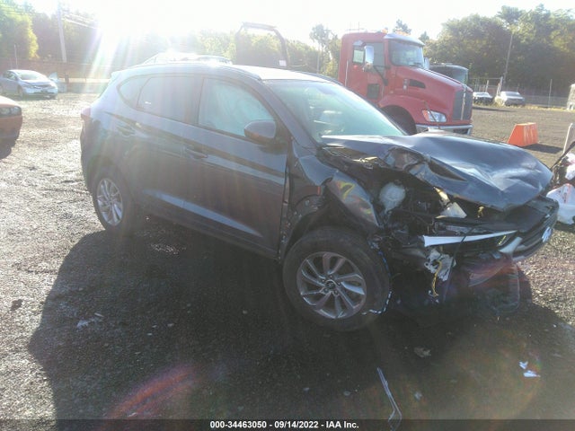 2017 Hyundai Tucson, VIN: KM8J3CA41HU531612