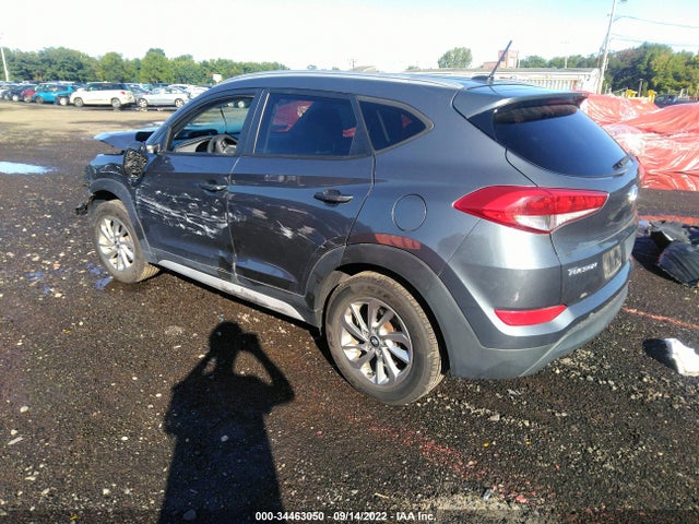 2017 Hyundai Tucson, VIN: KM8J3CA41HU531612