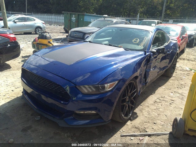 2015 Ford Fastback, VIN: 1FA6P8AM3F5390857