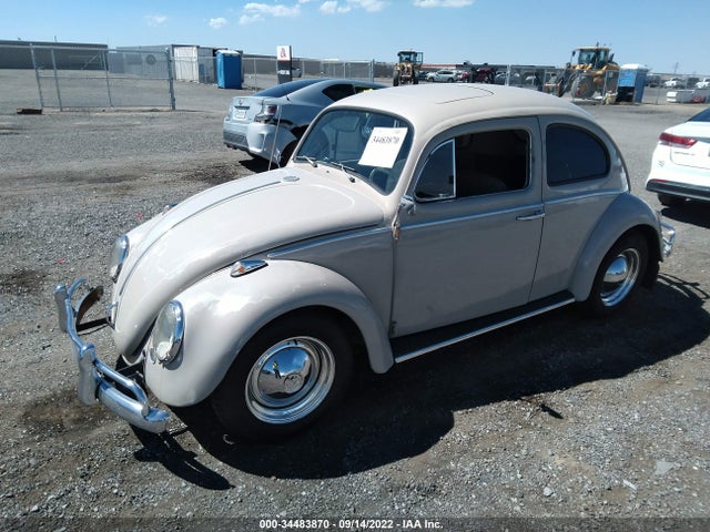 1964 VOLKSWAGEN BEETLE VIN: 6246023