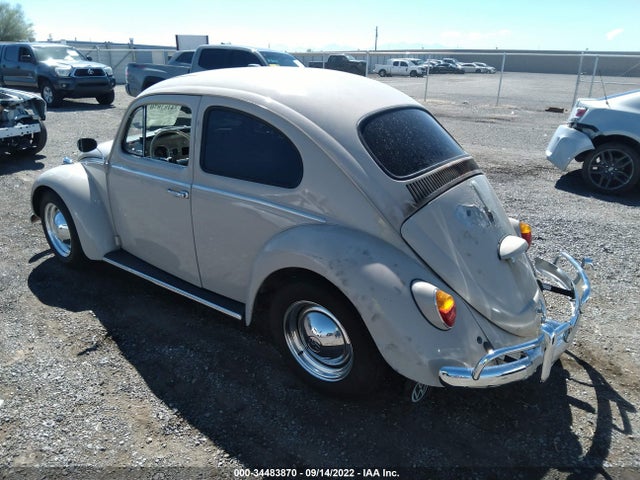 1964 VOLKSWAGEN BEETLE VIN: 6246023