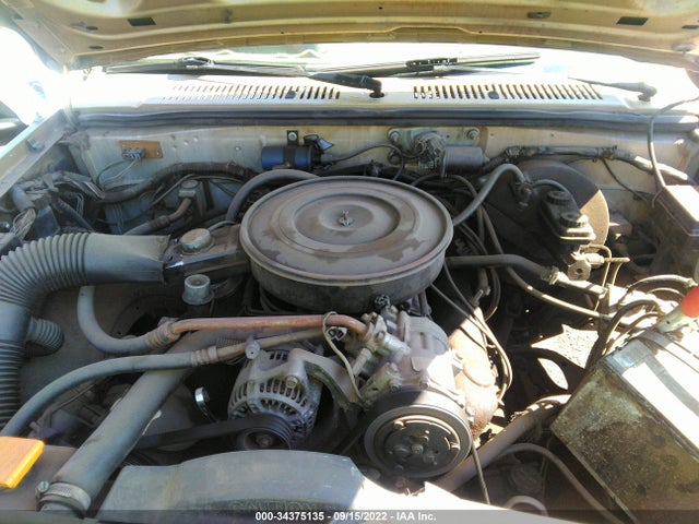 1991 DODGE DAKOTA VIN: 1B7GL23Y6MS229800