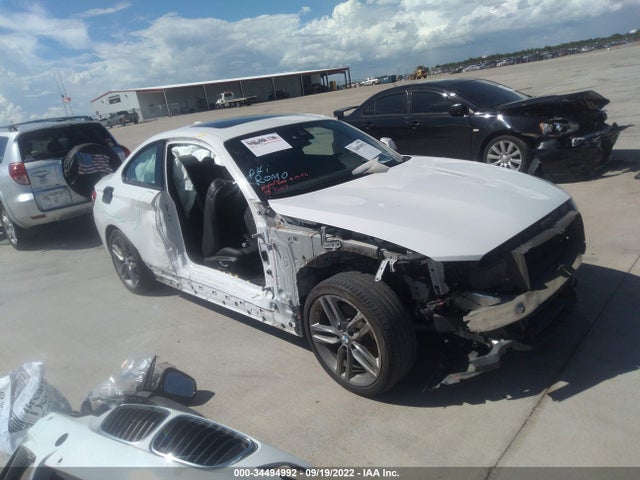 2019 BMW 2 Series, VIN: WBA2J1C58KVD10082