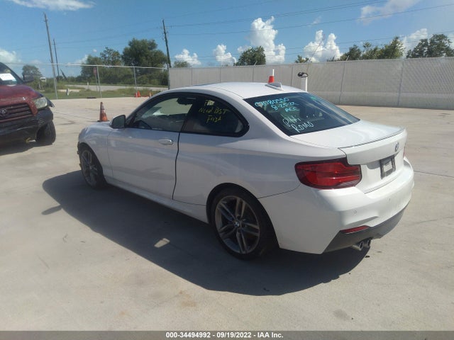 2019 BMW 2 Series, VIN: WBA2J1C58KVD10082