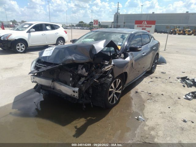 1N4AA6AP7HC381233 Nissan Maxima Sv/s/sl/sr/platinum