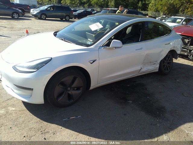 Tesla Model 3 Range 2019 5YJ3E1EA8KF397144 Image 2