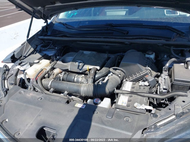 JTJBARBZ5K2206487 Lexus Nx Nx 300