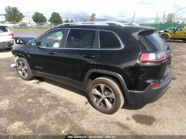 2020 JEEP CHEROKEE LIMITED VIN: 1C4PJLDBXLD502763