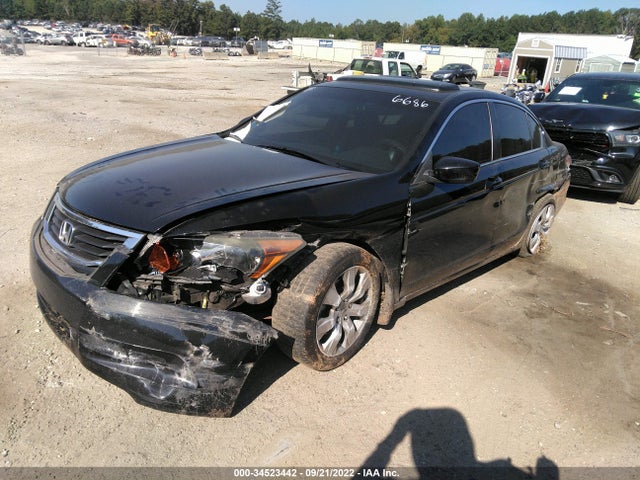 2010 HONDA ACCORD SDN EX-L VIN: 1HGCP2F88AA016686