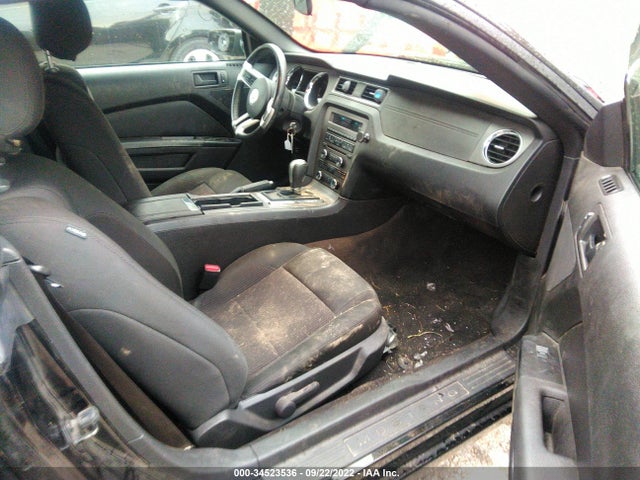 Ford Mustang V6 2014 1ZVBP8EM6E5219857 Image 5