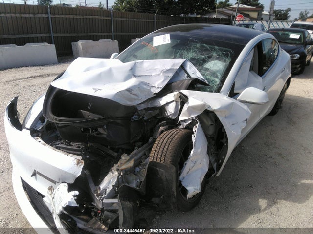 Tesla Model 3 Range 2019 5YJ3E1EA5KF482636 Image 2