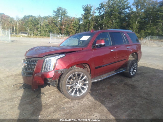 2019 Cadillac Escalade, VIN: 1GYS4BKJ5KR379097